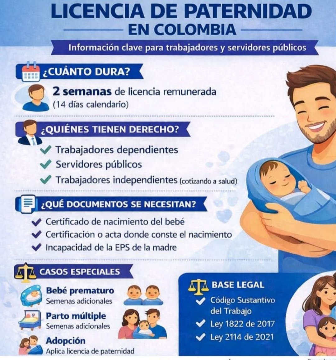 Descripción de la foto 6